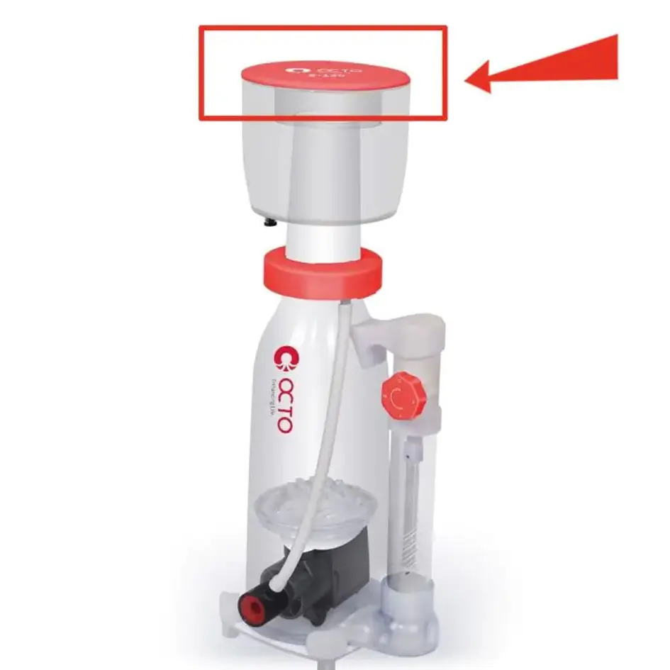 CollectionCupLid_2.webp