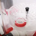 RegalSSS_BubbleChamber.webp