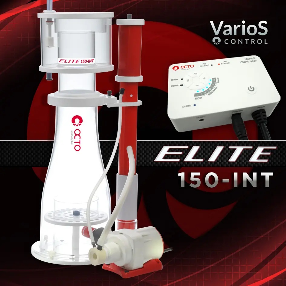 Elite-150INT.webp