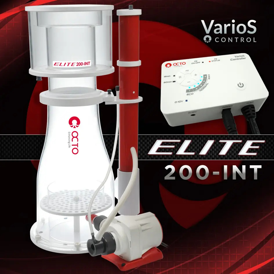 Elite-200INT.webp