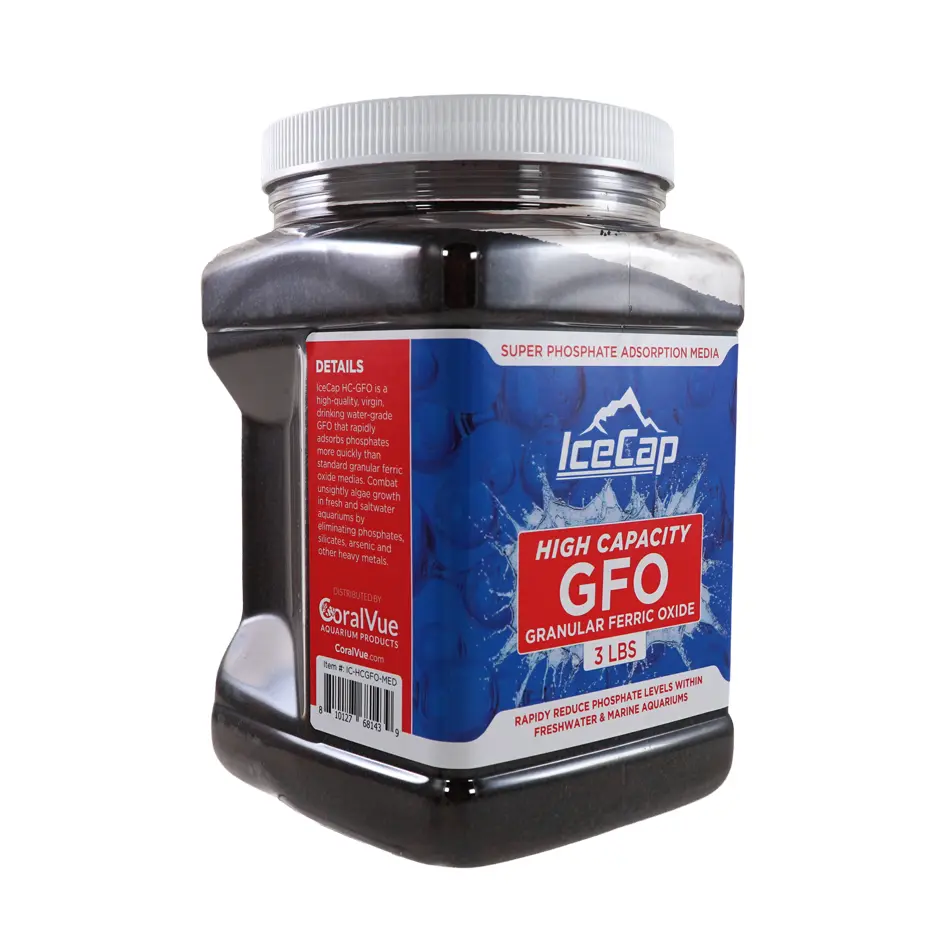 HC_GFO_Med_Right.webp