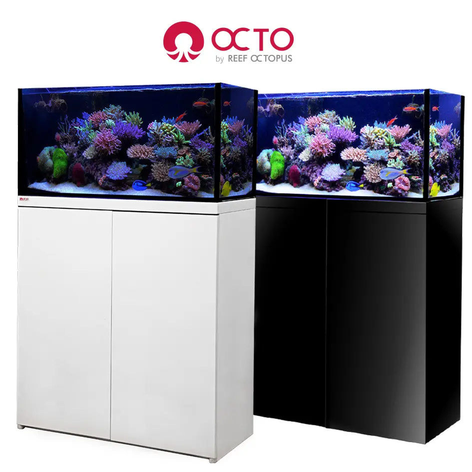OctoAquariums.webp