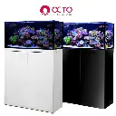 OctoAquariums.webp