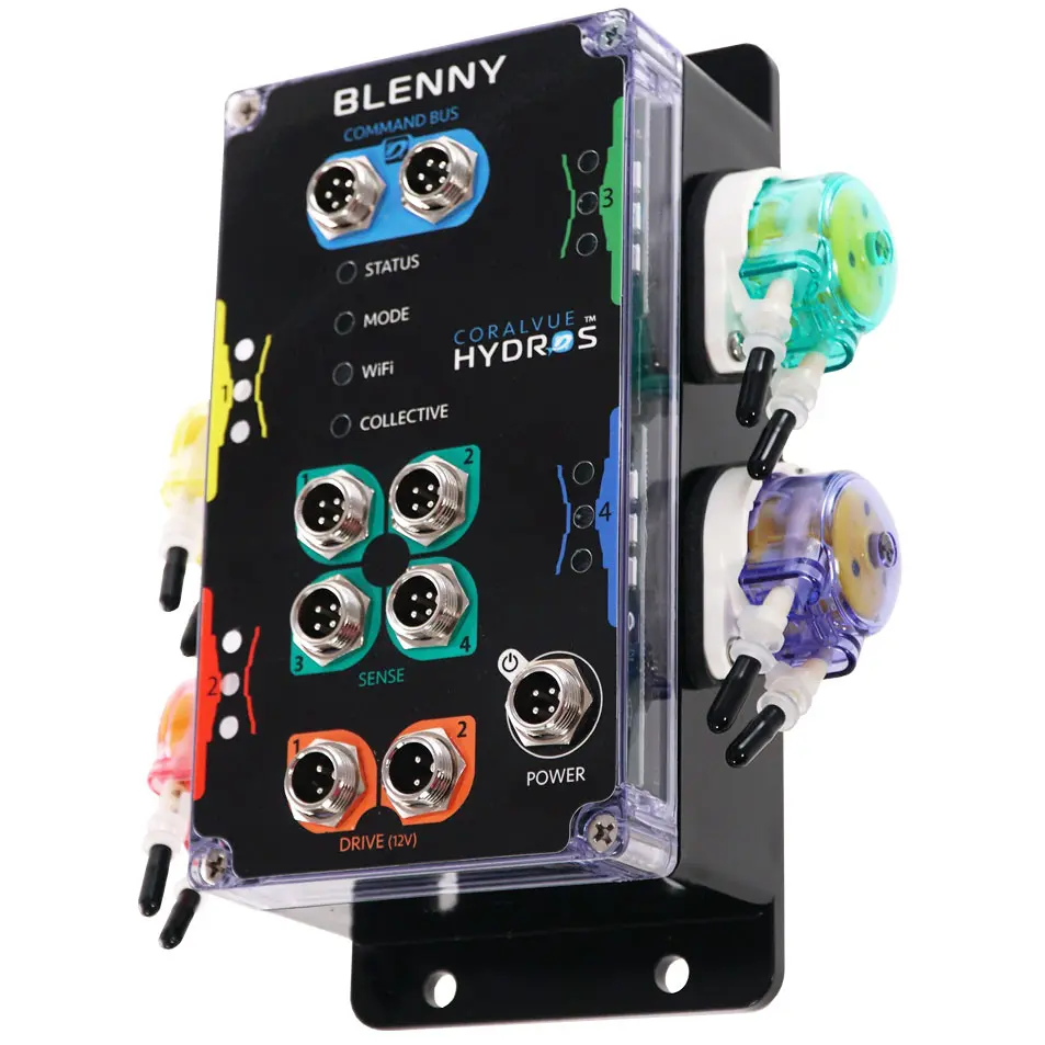 Blenny_RightAngle_1.webp