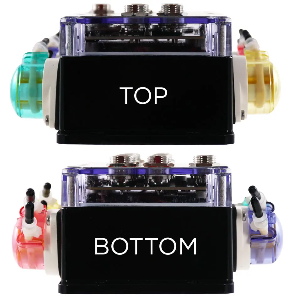 Blenny_TopBottom.webp