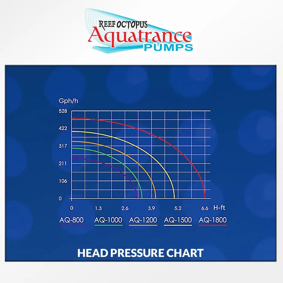 AquatranceWaterPHeadPressure.webp