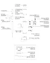 NS-80.webp