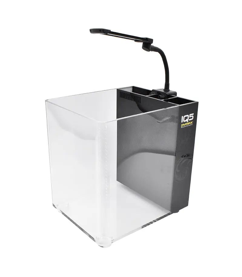 iq5-black2_1NEW.webp