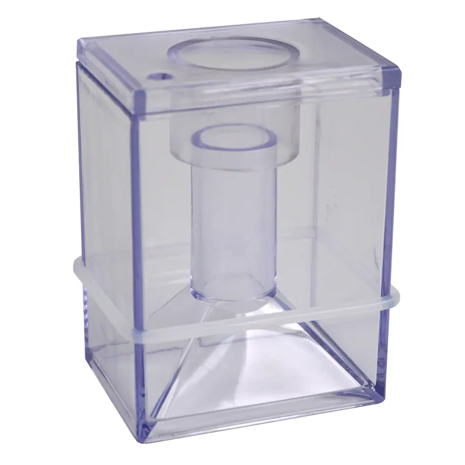 Collection-Cup.webp