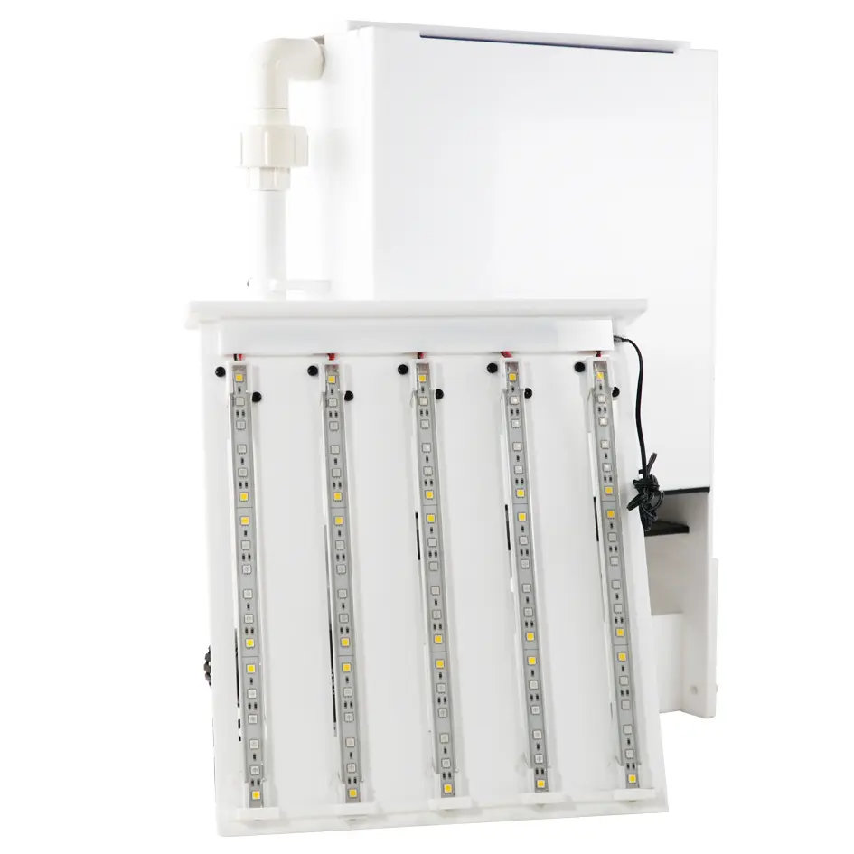 IC_Internal_Large_LED.webp