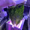 IC_AGSPROTurfScreen.webp