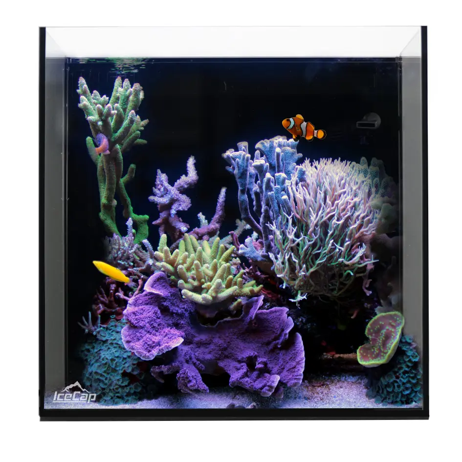 IC_AIOCube_MarineSetup.webp