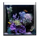 IC_AIOCube_MarineSetup.webp