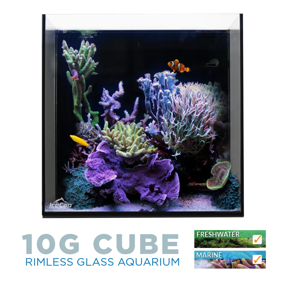 IC_10GalMarineAIOAquariumWHTBG.webp