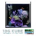 IC_10GalMarineAIOAquariumWHTBG.webp
