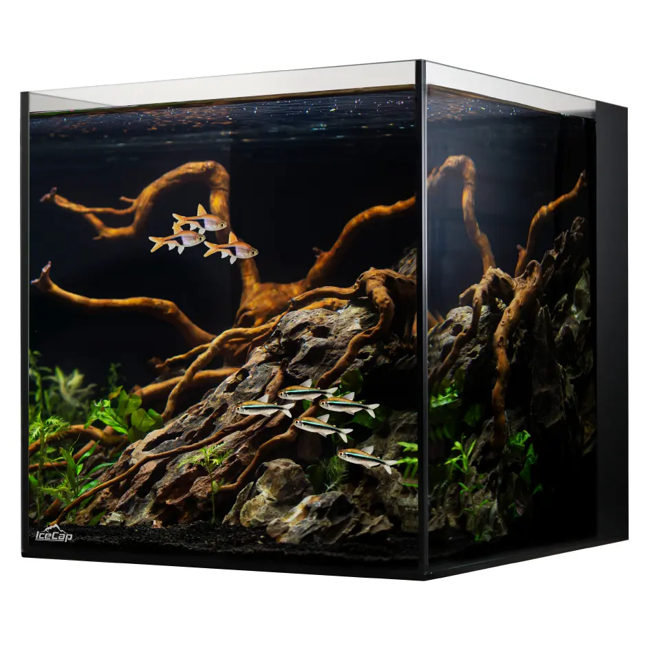 IC_AIOCube_FreshWaterSetup.webp
