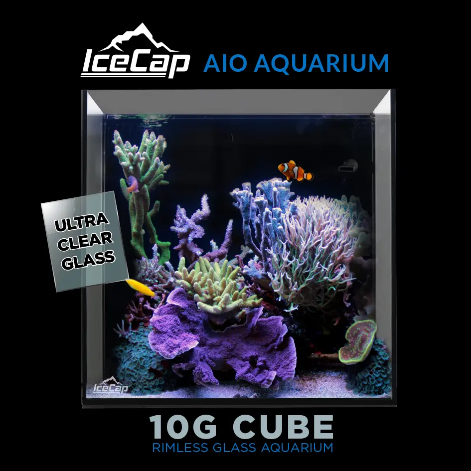 IC_10GalCubAIOAquariumBLKBG.webp