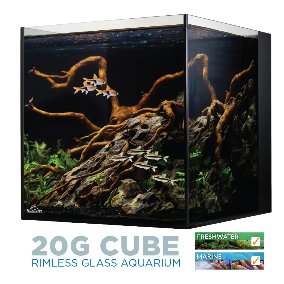 IC_20AIOCube_FreshWaterSetup.webp