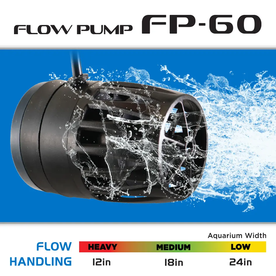FP60_100_Graphic.webp