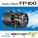 FP_100_Graphic.webp
