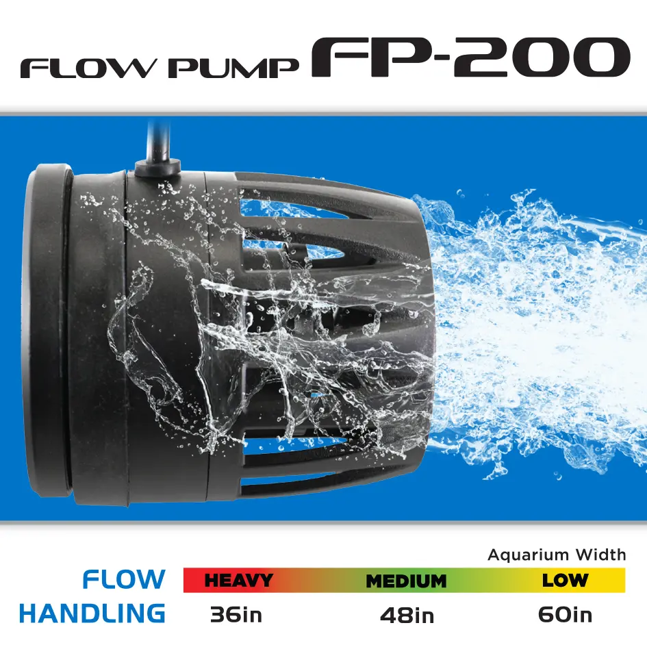 FP_200_Graphic.webp