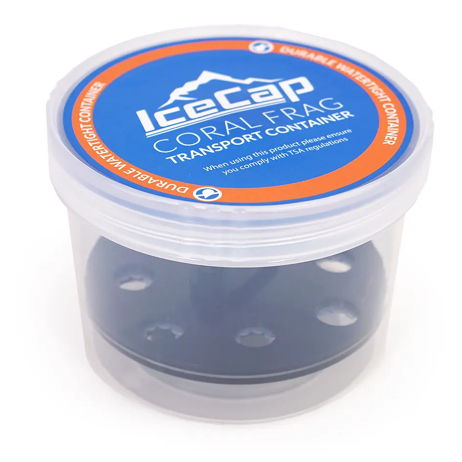 IC_CFC8_1.webp