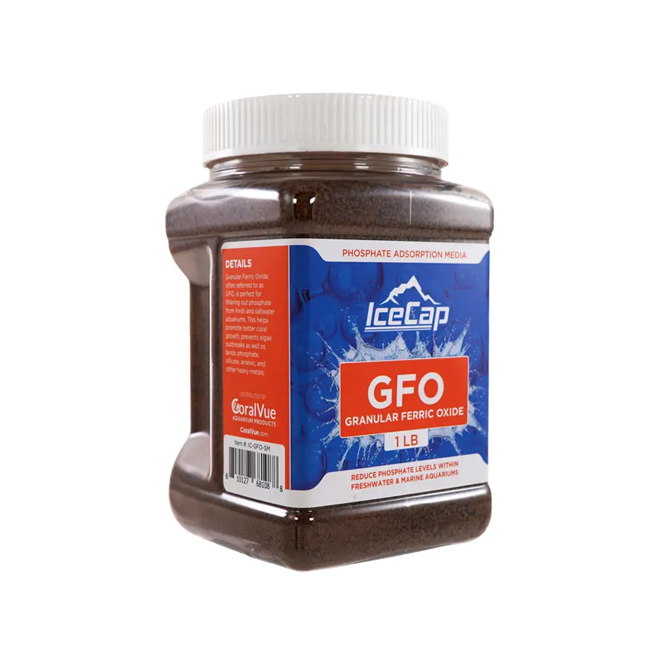 GFO_Small_Right.webp