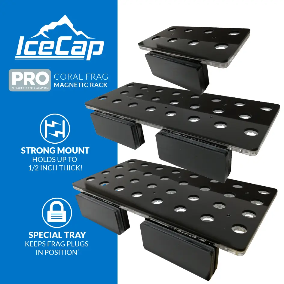 IC_PROfragrack_Group.webp