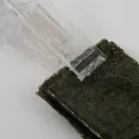 SeaweedSuctionClip_3.webp