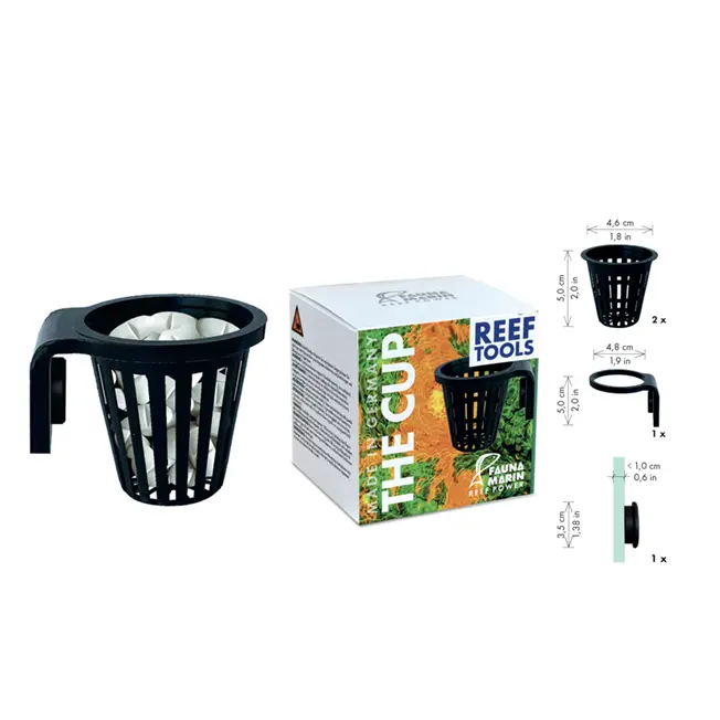 THE_CUP_RGB.webp