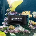 FlipperStandardFloat_5.webp
