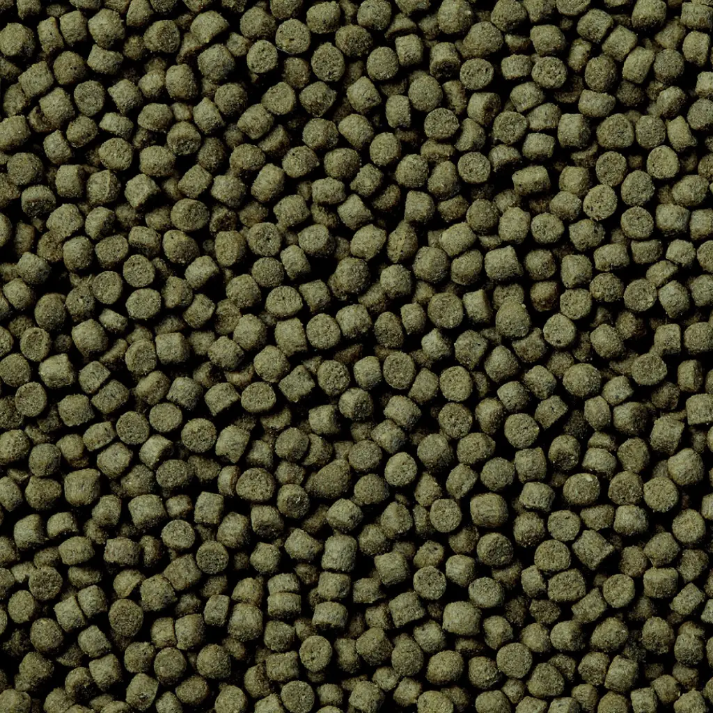 Dymax Marine Superior Pellet Food Close Up.webp