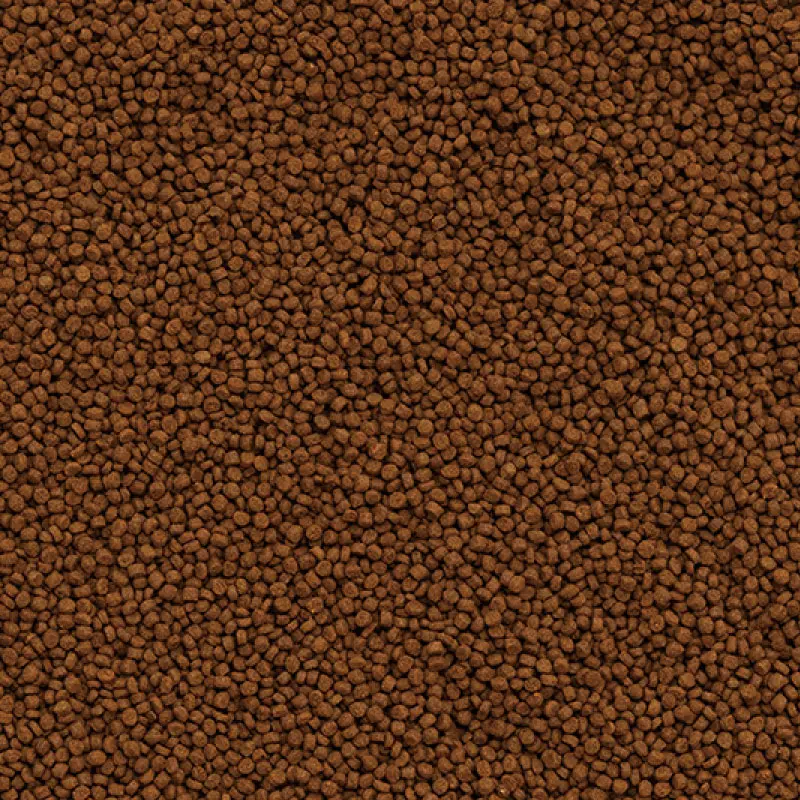 Dymax Marine Complete Pellet Food Close Up.webp