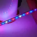 LightTube_2.webp