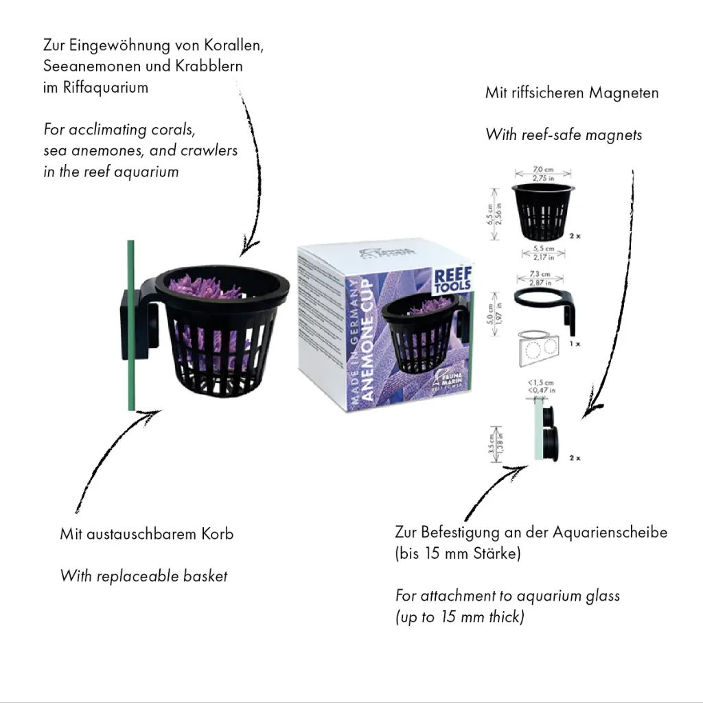 ANNEMONE_CUP_Pfeilbild_DE_EN_ND.webp