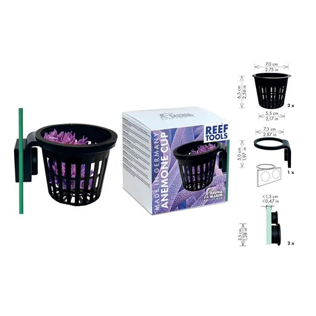 Anemone_Cup_RGB.webp