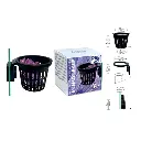 Anemone_Cup_RGB.webp