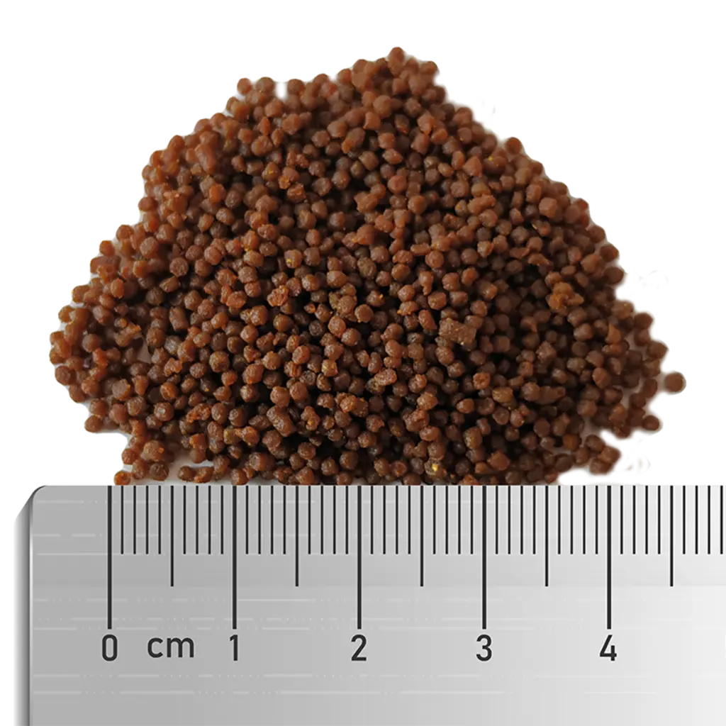 Soft_Clownfish_M_Materialprobe_Lineal_RGB.webp