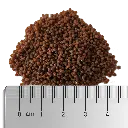Soft_Clownfish_M_Materialprobe_Lineal_RGB.webp