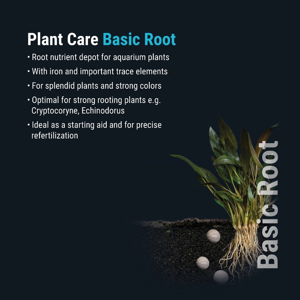 4822__5_plant_care_basic_root_en.jpg