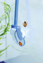 snailcatcher_anwendung.png