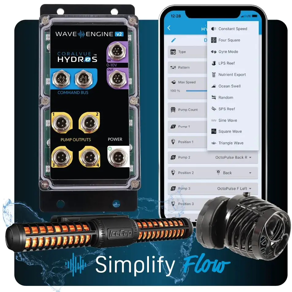 app_and_pump_graphicwev2 (1).webp
