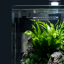 [DE-NCF] Dennerle Nano Corner Filter