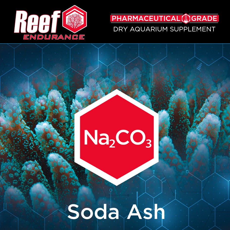 re_dry_sodaash.jpg