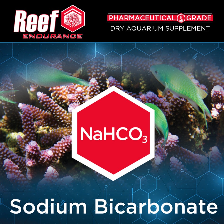 re_dry_sodiumbicarbonate.jpg