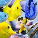 Easy Reefs Masstick Fish Food 1.webp