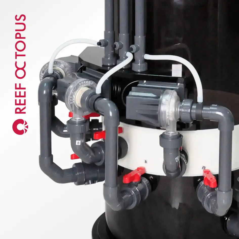 Q6_pumps.webp