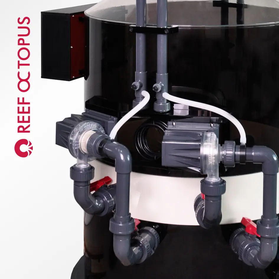 Q7_pumps.webp