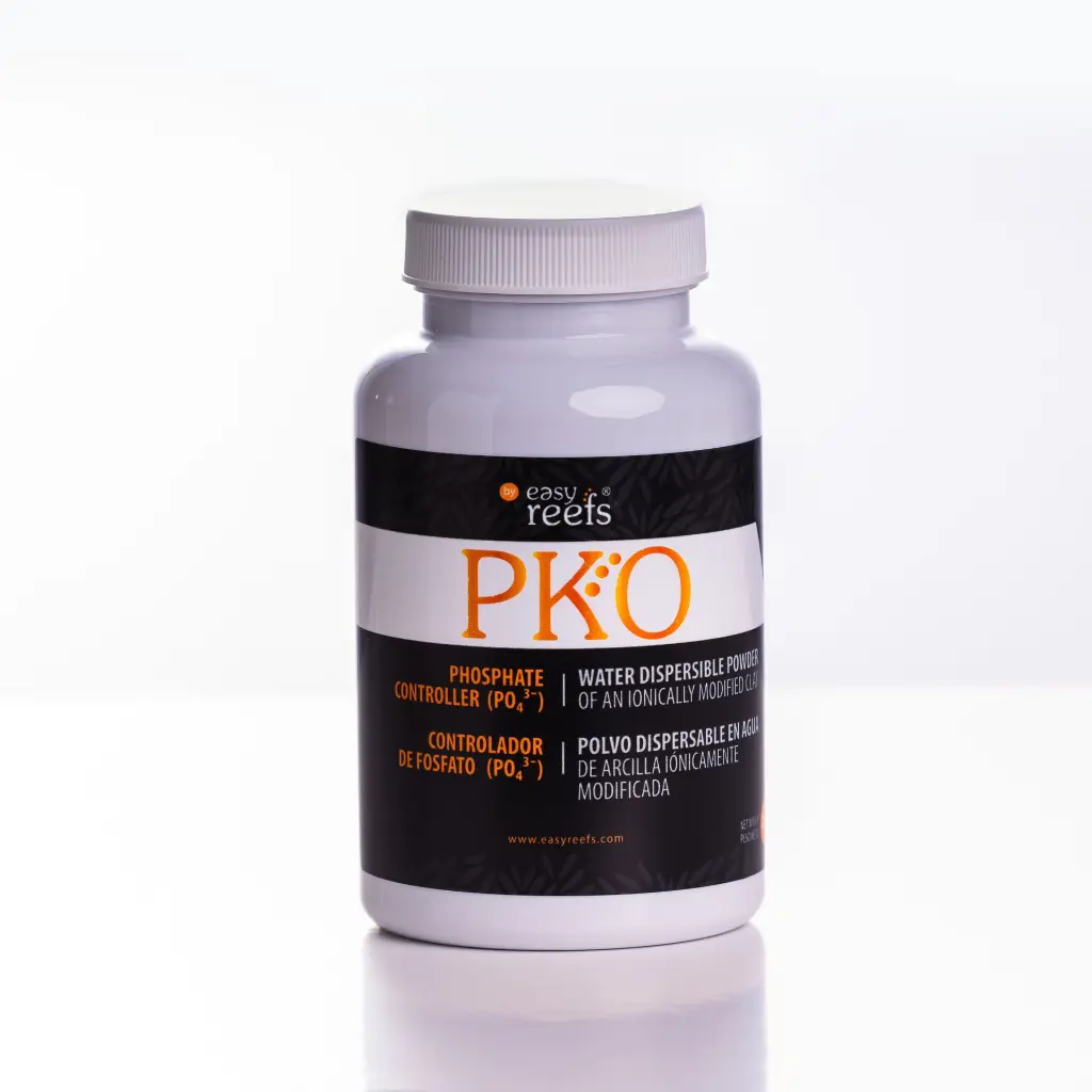 PKO_front.webp