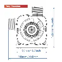 V4_dim_5.webp